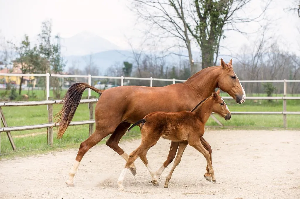 Agriturismo I Due Merli Hotel Zanica Farm stay